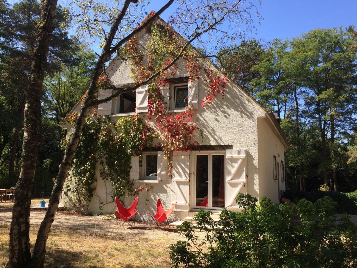 Chambres Au Coeur Du Massif Des Trois Pignons Noisy-sur-Ecole Extérieur photo